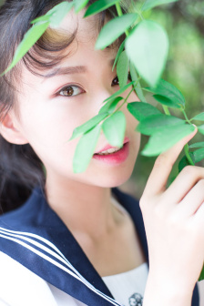苏东坡电视剧